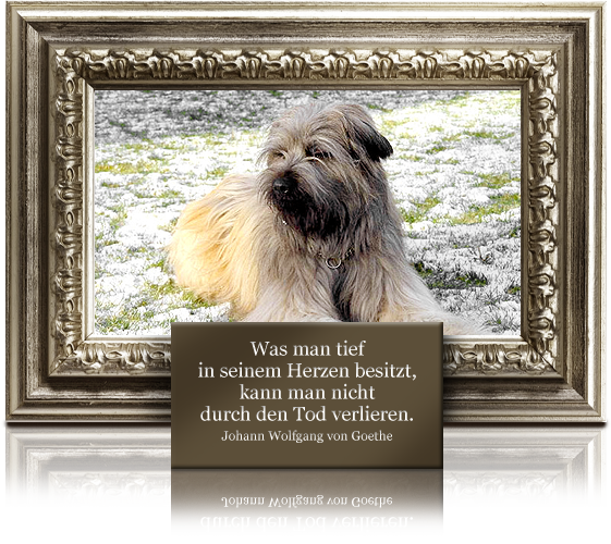 In Gedanken an Chirac